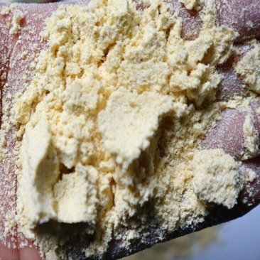 高质玉米次粉粗蛋白7.88粗脂肪2.26质量有保障