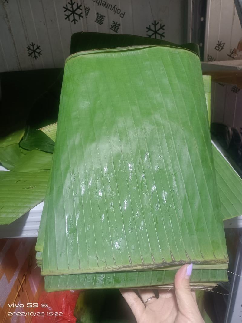 新鲜芭蕉叶香蕉叶傣族包烧摆盘壮族蕉叶糯米糍粑