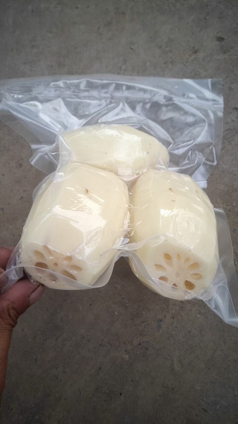 陕西省，渭南大荔黄河滩莲藕，质量好，欢迎新老客户前来采购