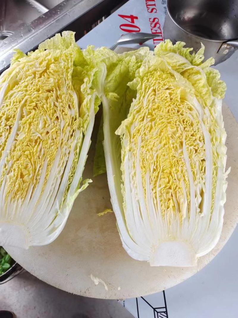 精品大白菜，质量好，货源充足，有需要的老板联系