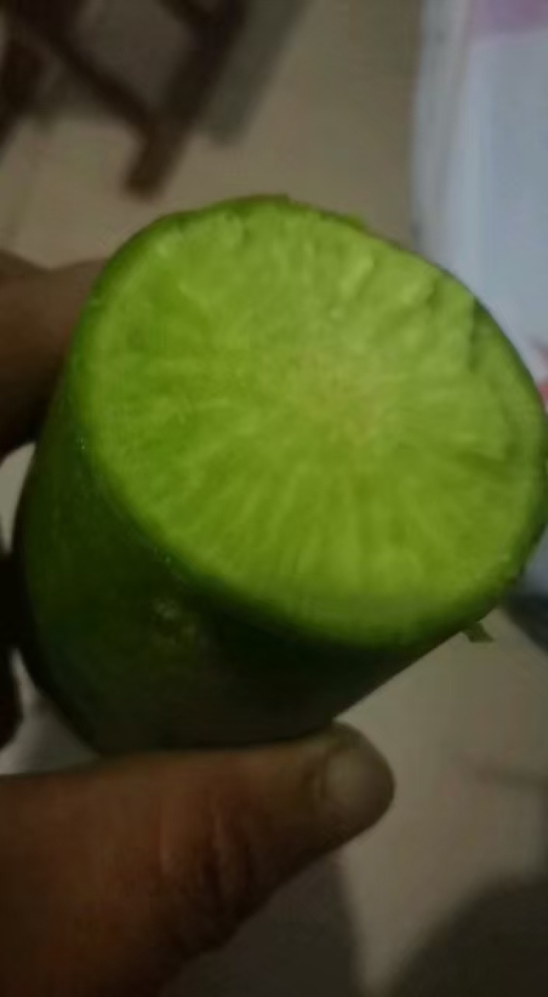 露天水果萝卜口感好脆皮甜度好