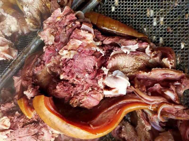 熟火烧大公牛头牛头肉厂家直发质量保证供应全国