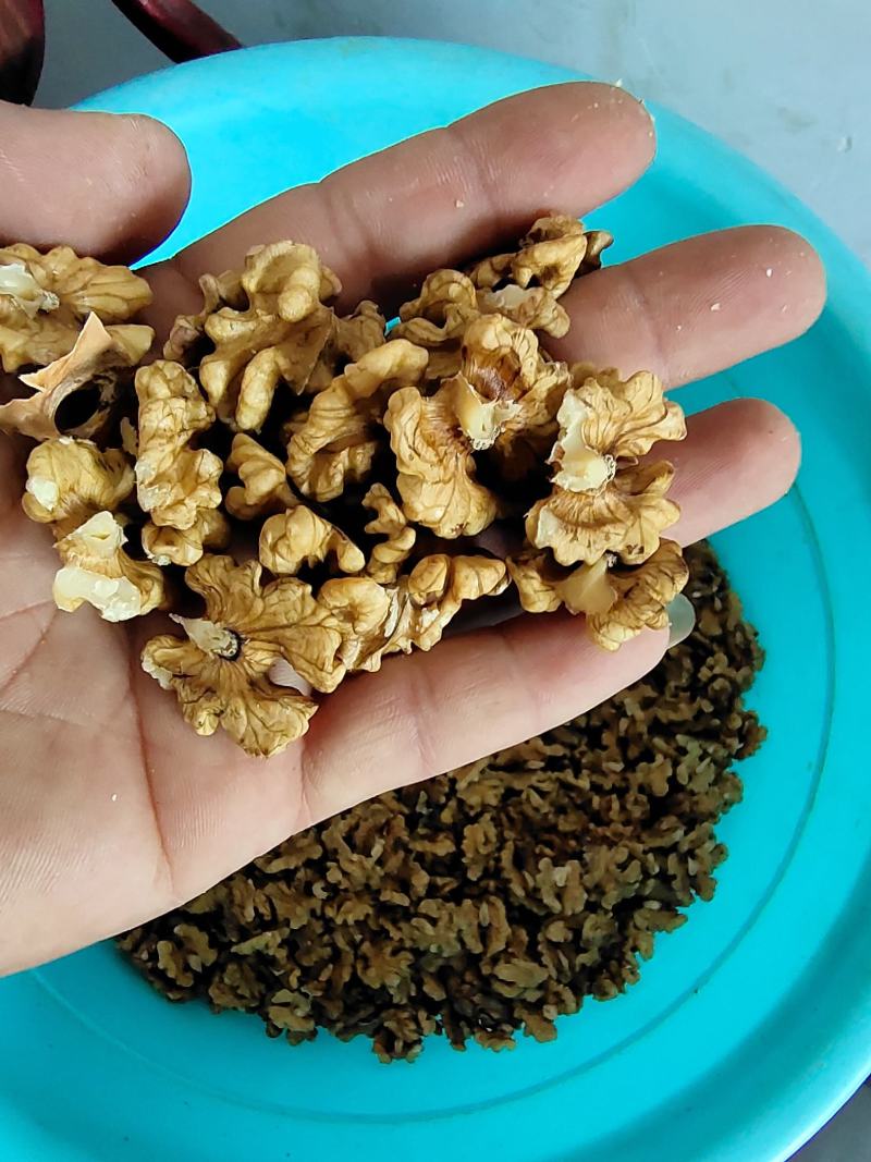 核桃仁各种核桃仁保质保量！！！！！！！！