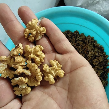核桃仁各种核桃仁保质保量！！！！！！！！