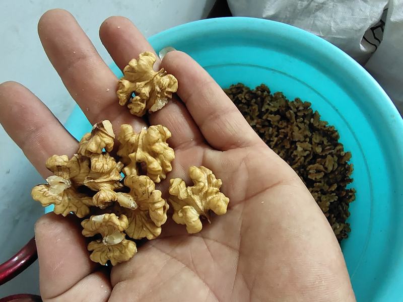 核桃仁各种核桃仁保质保量！！！！！！！！