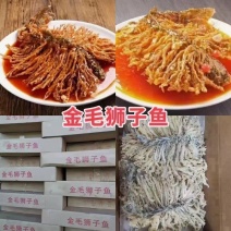 狮子鱼厂子直销产品，一手货源充足，质量保证