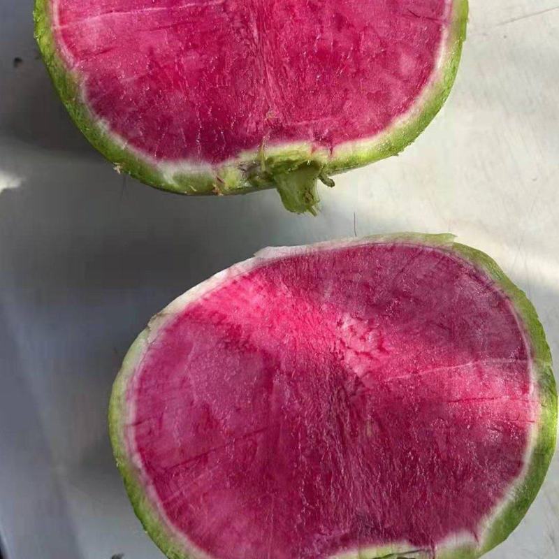 红心萝卜