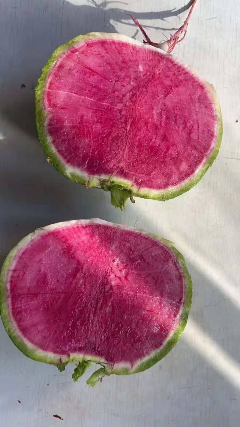 红心萝卜
