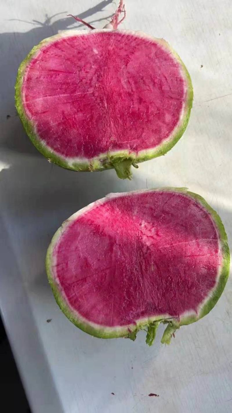红心萝卜