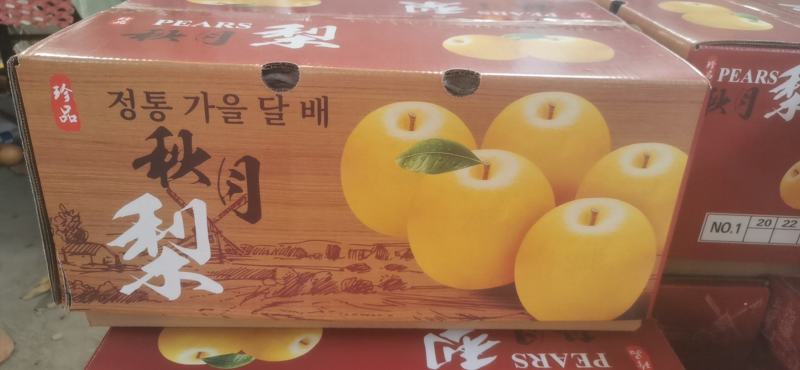秋月梨