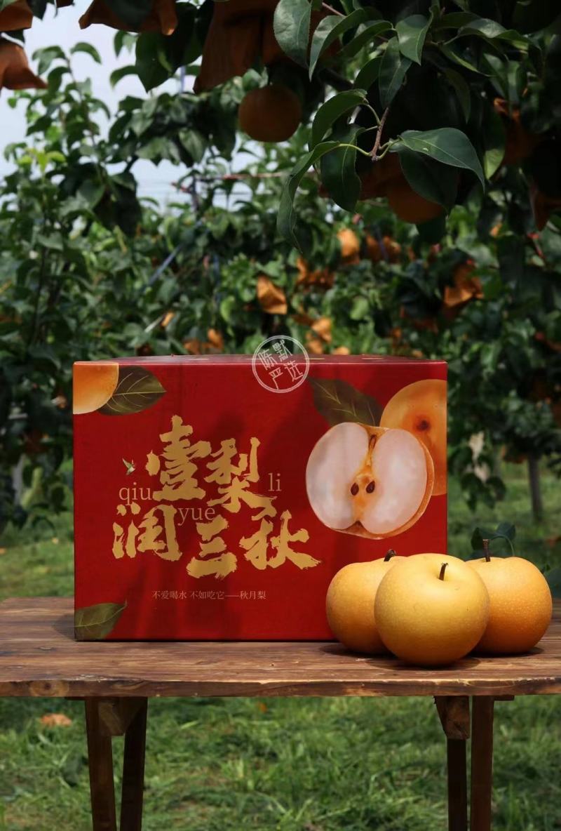 秋月梨