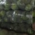 精品甘蓝