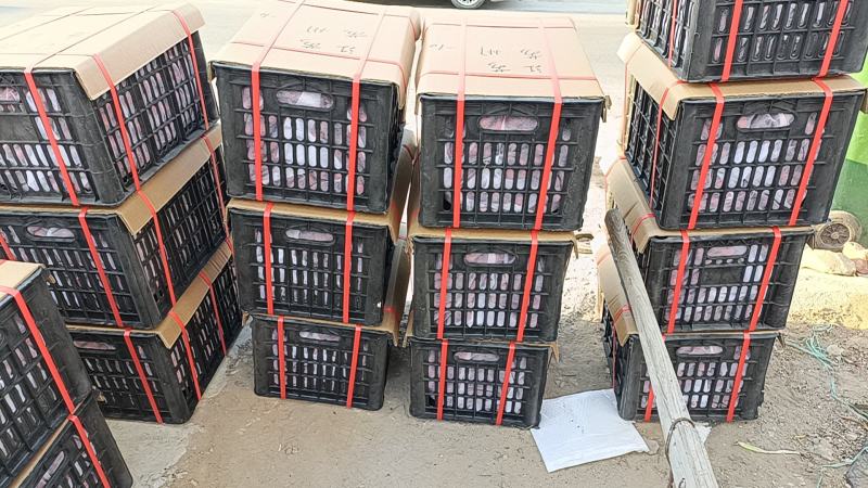 大棉球山楂可用冰糖葫芦个大口感好常年供应坏果包赔