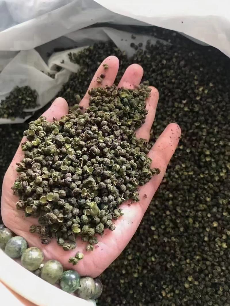 汉源九叶青干无籽花椒一手货源会批发青花椒产地汉源
