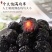 清仓新疆特产天山新鲜乌梅干干果脯蜜饯办公低脂休闲