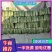 【热销】北京新三号大白菜3-5斤产地直发大量上市