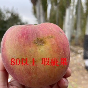 阿克苏冰糖心苹果产地直发高次果整车业务赚钱货，实惠到家。