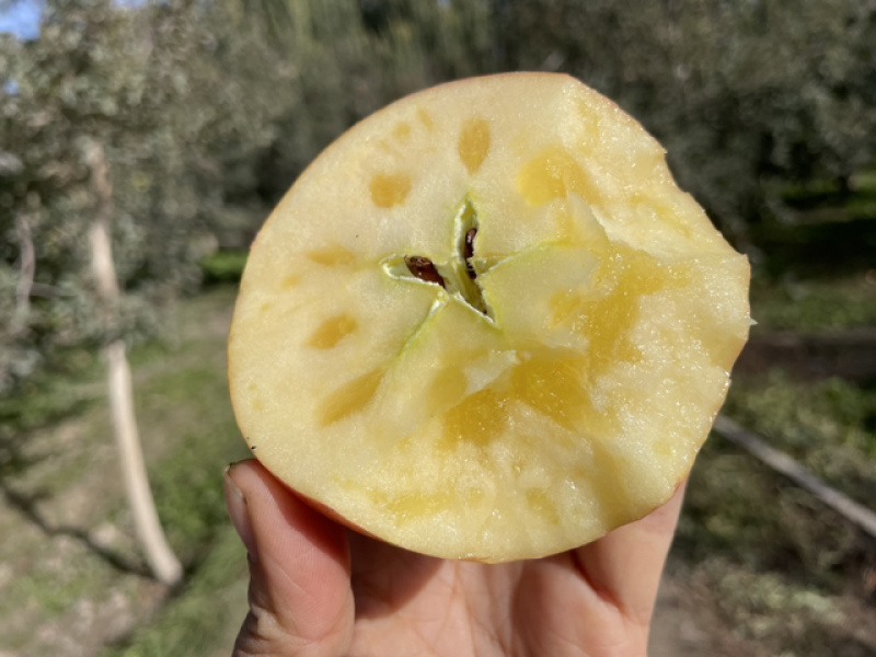 阿克苏冰糖心苹果产地直发高次果整车业务赚钱货，实惠到家。