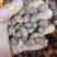 中药材蜀葵子新货保证质量货源充足