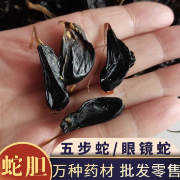 蛇胆正宗中药材五步蛇胆干蛇胆500g包邮