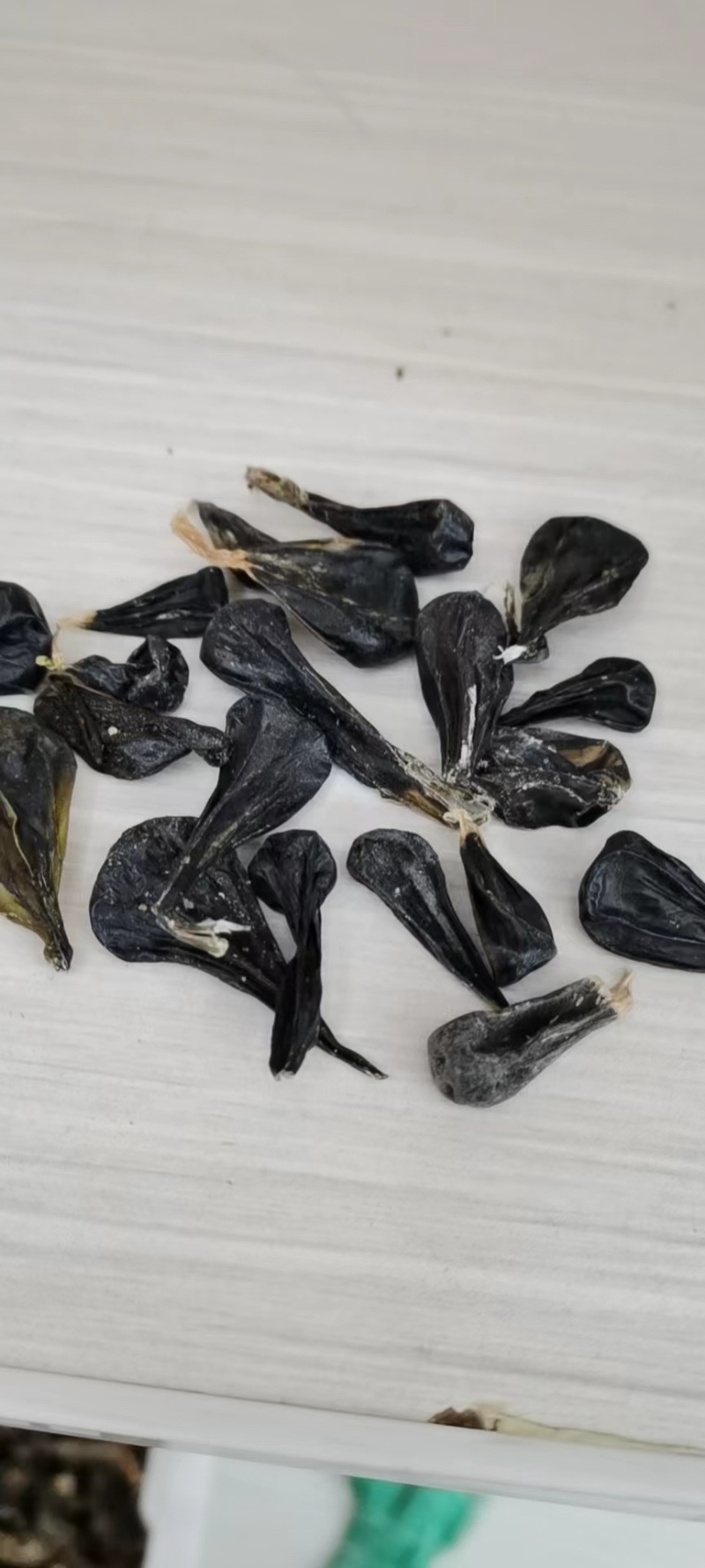 蛇胆正宗中药材五步蛇胆干蛇胆500g包邮