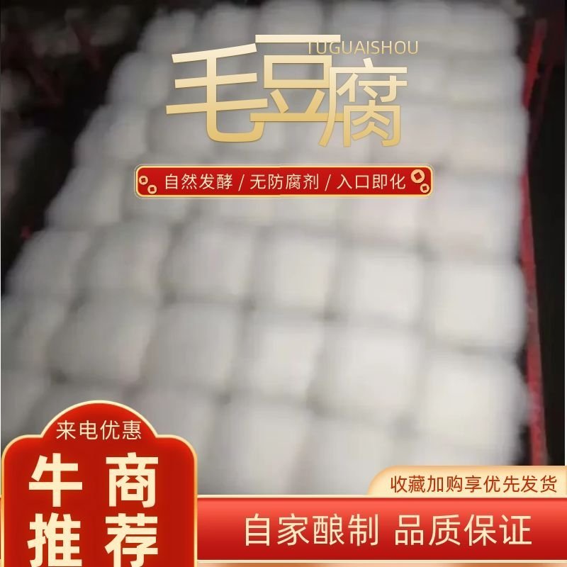 【精品】毛豆腐麻辣红豆腐自家酿制物美价廉品质保证欢迎采购