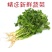 脱水蔬菜香菜干莚荽菜户外农家干货调味料方便面蔬菜包烘焙香