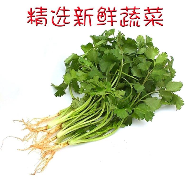 脱水蔬菜香菜干莚荽菜户外农家干货调味料方便面蔬菜包烘焙香
