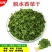 脱水蔬菜香菜干莚荽菜户外农家干货调味料方便面蔬菜包烘焙香