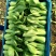 上海青小油菜杭白菜鸡毛菜