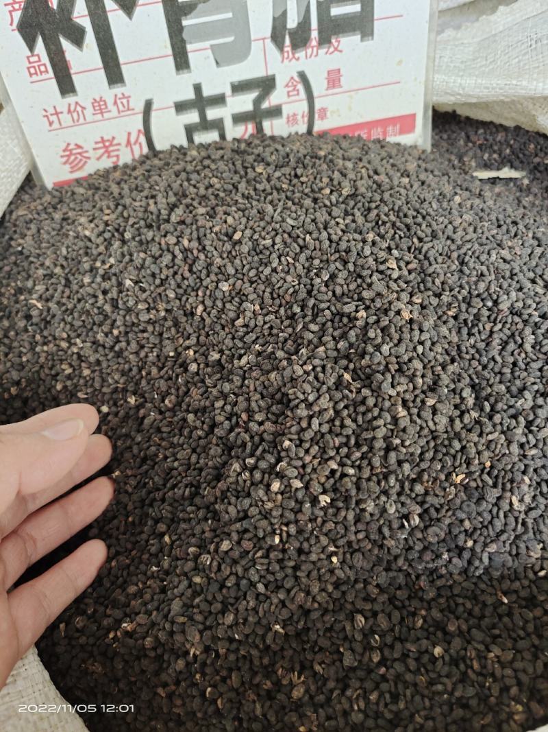 中药材补骨脂古子保证质量货源充足