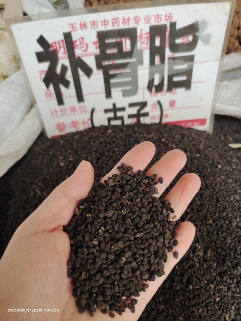 中药材补骨脂古子保证质量货源充足