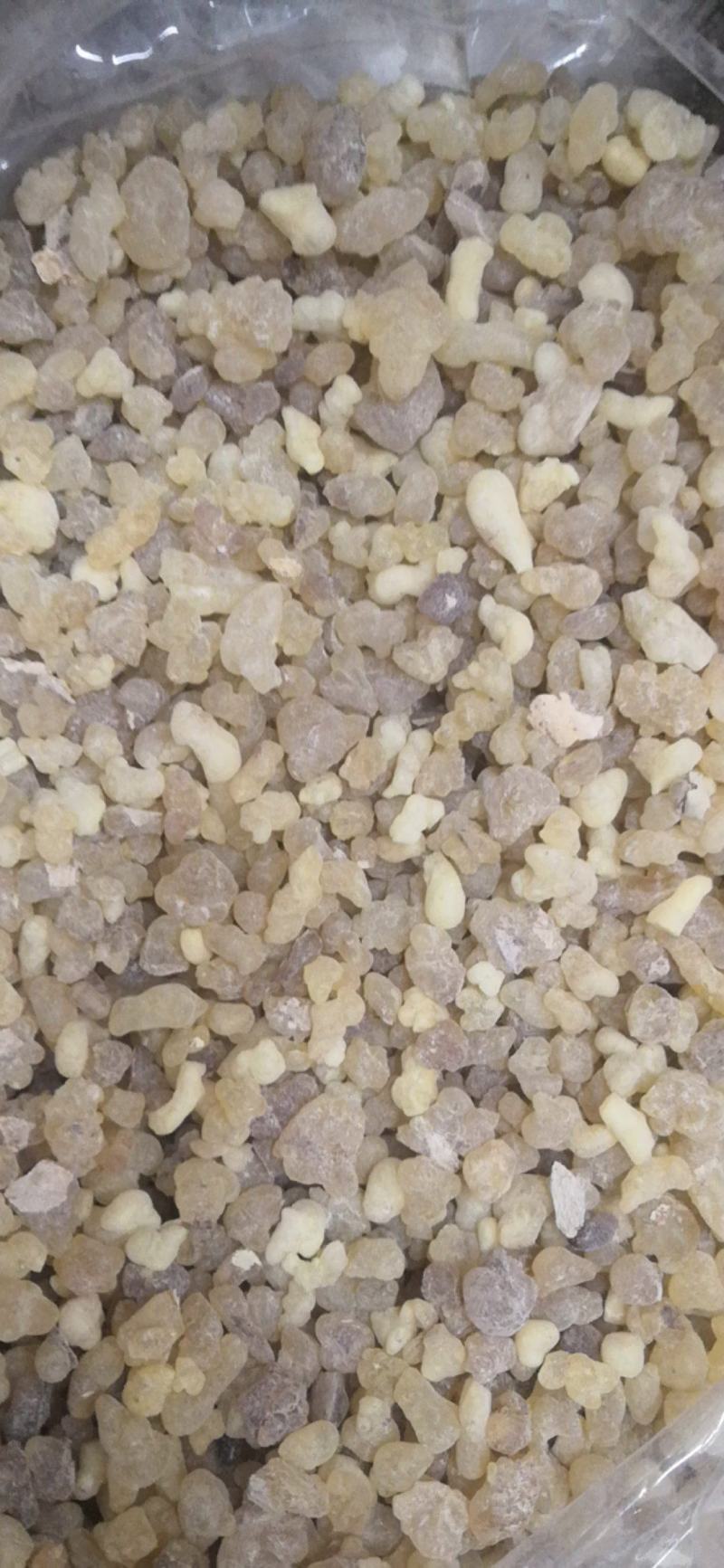 乳香印度产地制乳香500克一包纯净无树皮量大包邮