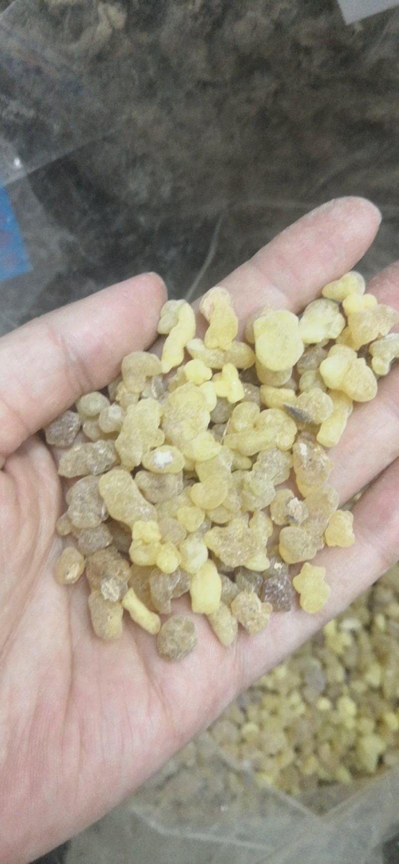 乳香印度产地制乳香500克一包纯净无树皮量大包邮