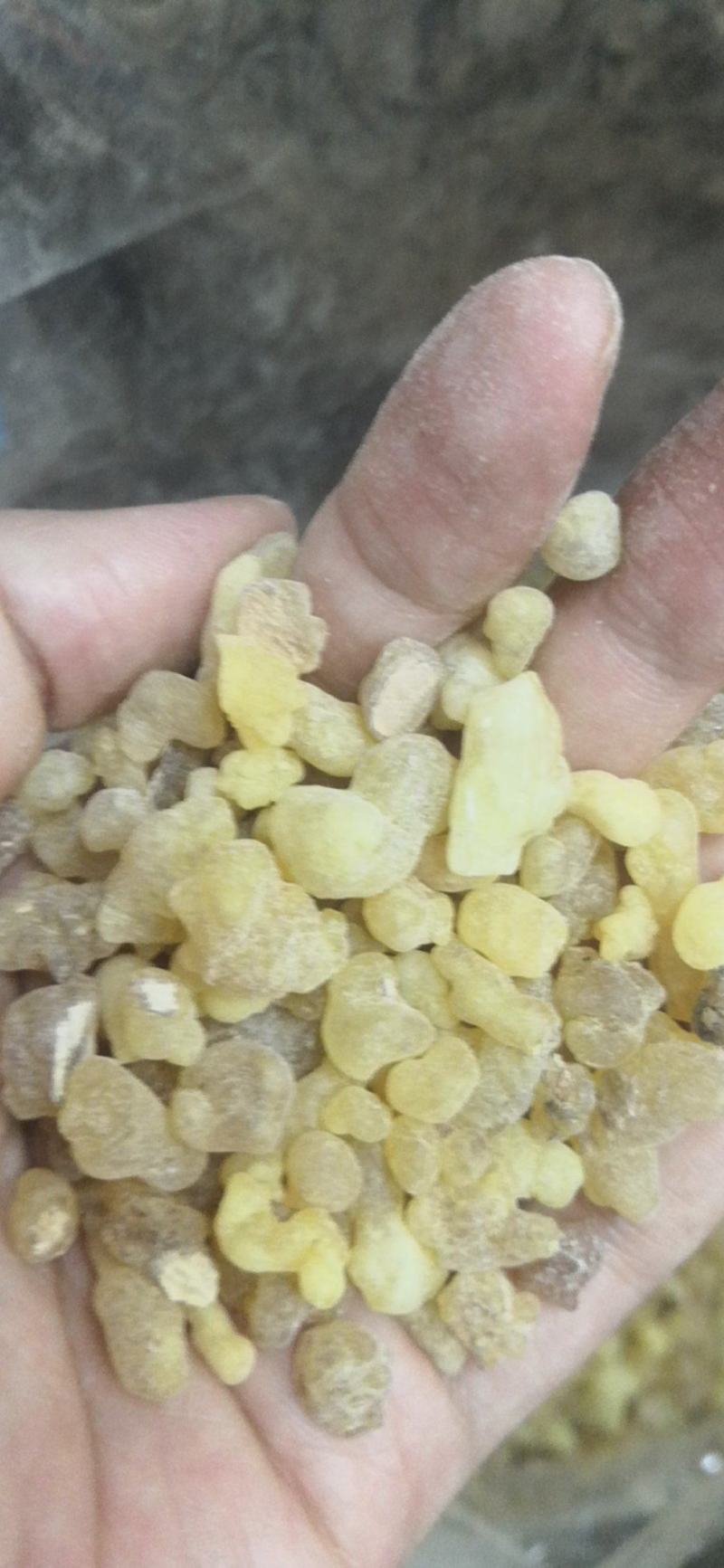 乳香印度产地制乳香500克一包纯净无树皮量大包邮