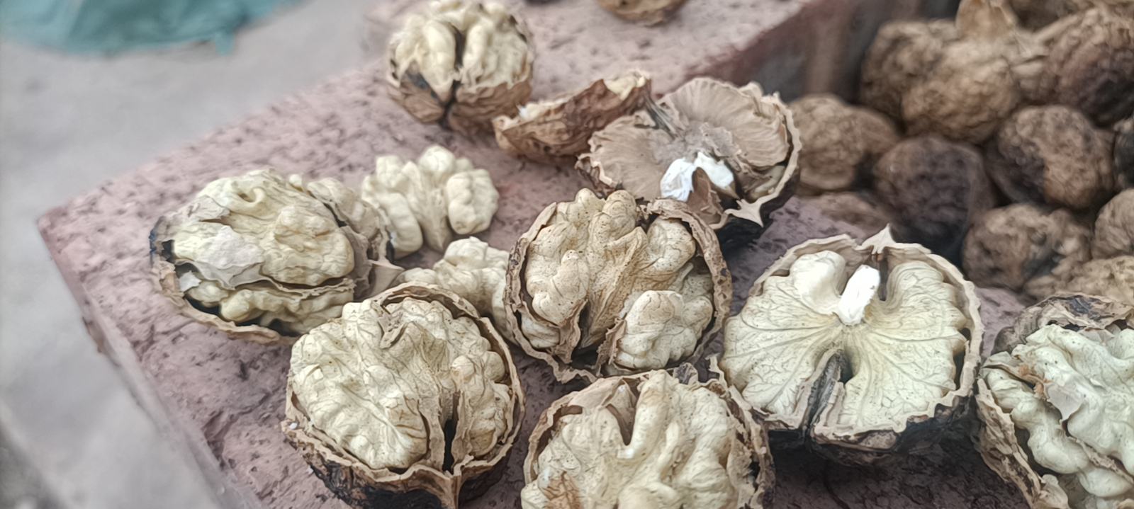 纸皮核桃特写，展示其薄壳与果仁