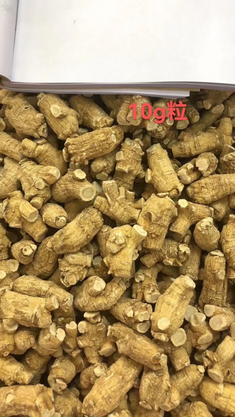 【产地直发】超大进口西洋参，加拿大花旗参，参味浓郁