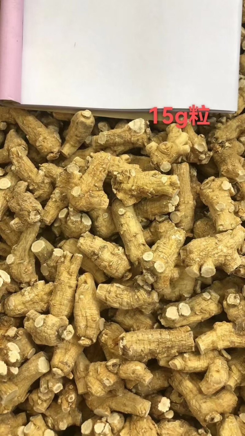 【产地直发】超大进口西洋参，加拿大花旗参，参味浓郁