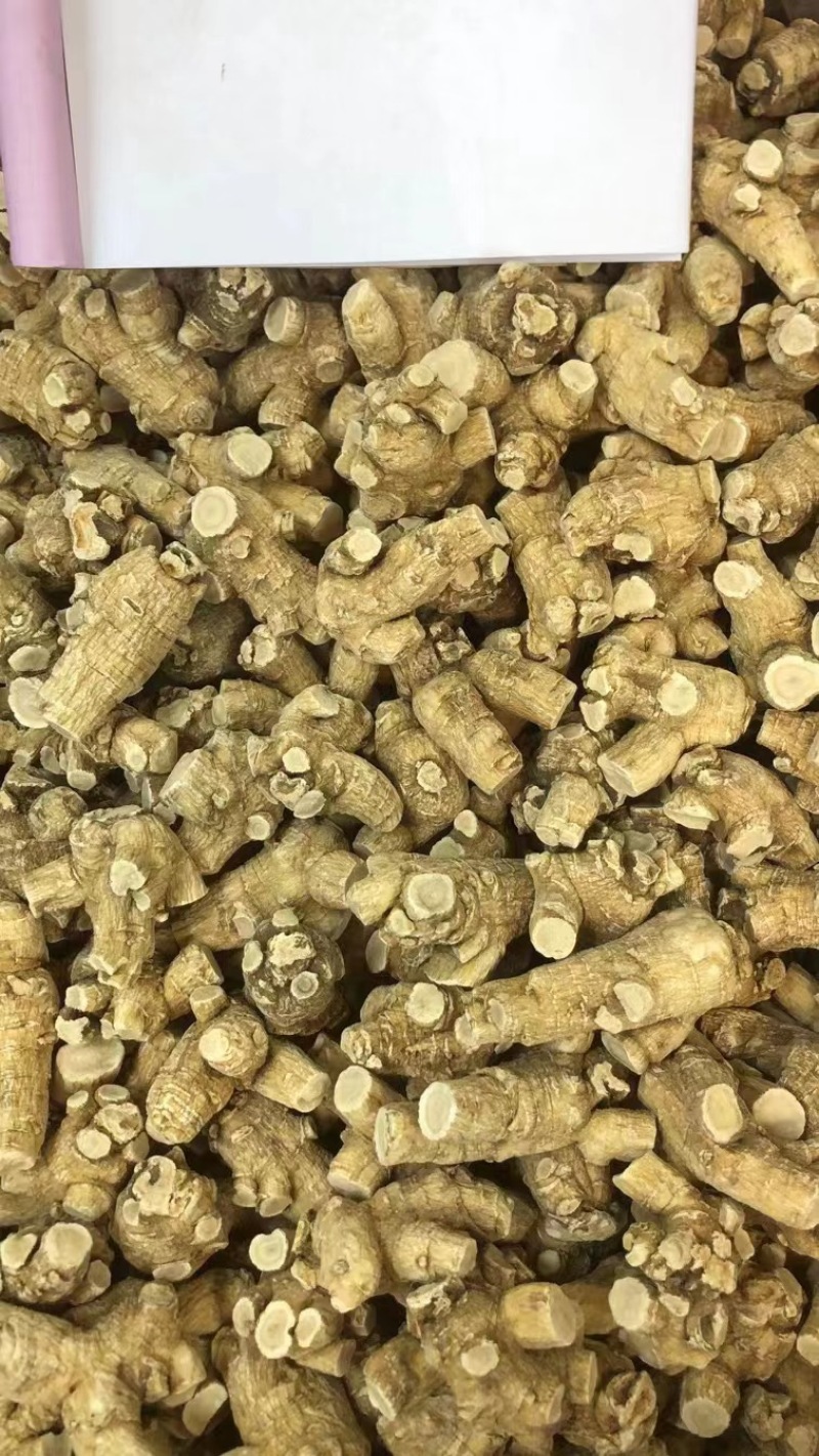 【产地直发】超大进口西洋参，加拿大花旗参，参味浓郁