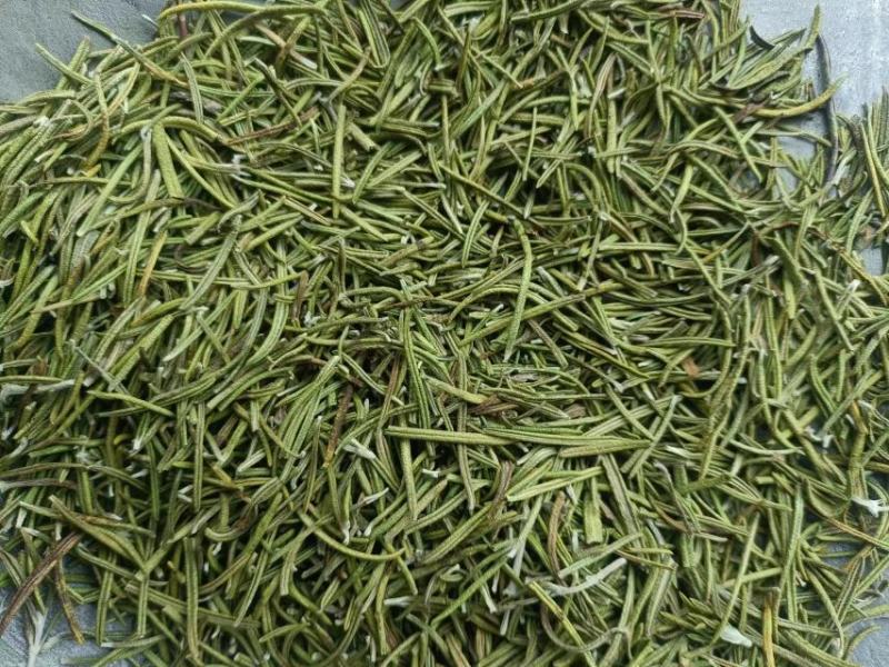 迷迭香鲜枝条，干枝条，长期供应，天然不打农药无残留，苗种