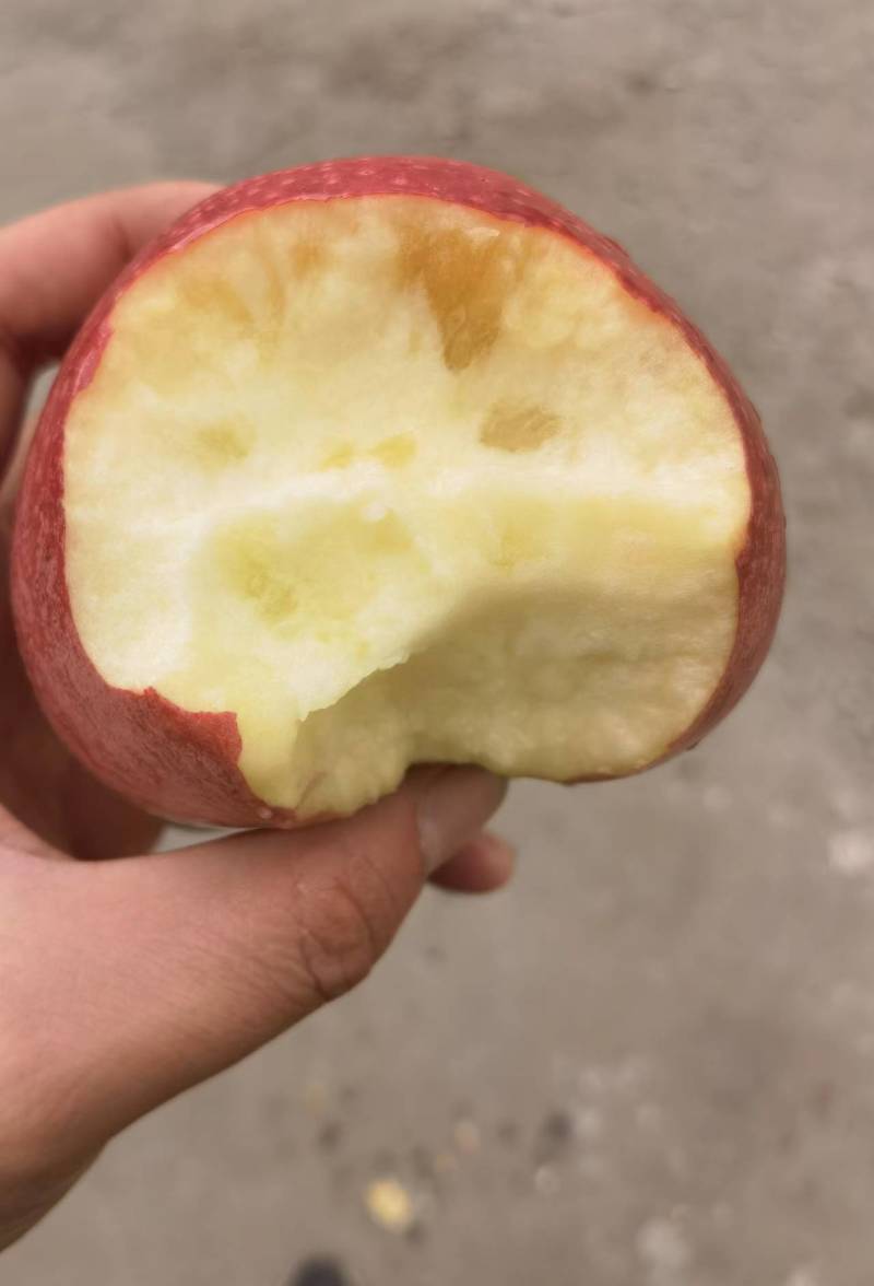 红玫瑰苹果