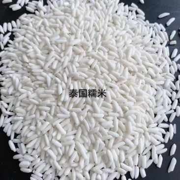 米线米干米粉专用大米全国发货