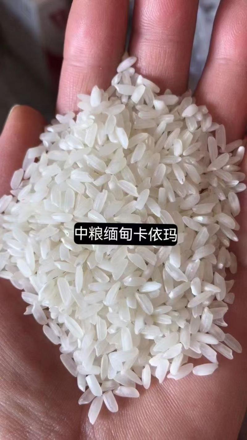 米线米干米粉专用大米全国发货