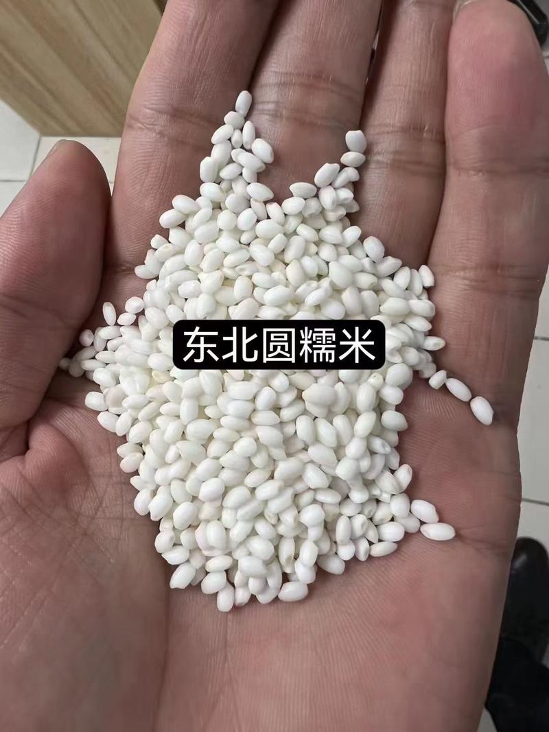 米线米干米粉专用大米全国发货
