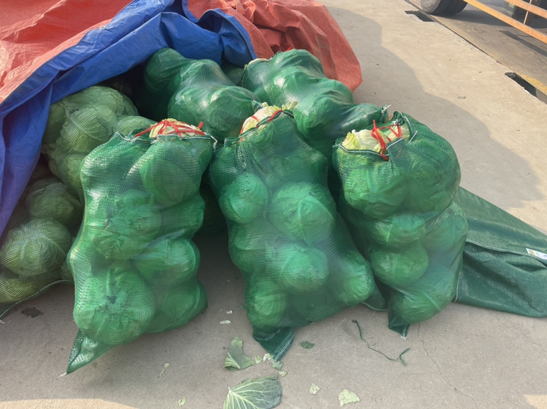 超市蔬菜区俯拍视角：冷柜中整齐陈列的三颗圆包菜，大小相近、球形匀称，外叶翠绿带霜粉，旁边标牌手写“圆包菜 ￥3.8/斤”，左侧可见“有机圆白菜”价签，右侧为散装紫甘蓝，体现品类并置