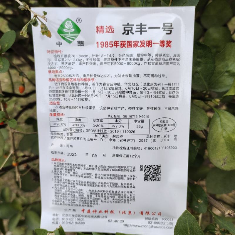 京丰一号甘蓝种子高产包菜种子秋播甘蓝基地蔬菜种孑