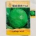极光绿球702甘蓝种子脆甜上部底部一样绿圆甘蓝包菜种子