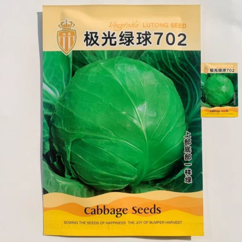 极光绿球702甘蓝种子脆甜上部底部一样绿圆甘蓝包菜种子