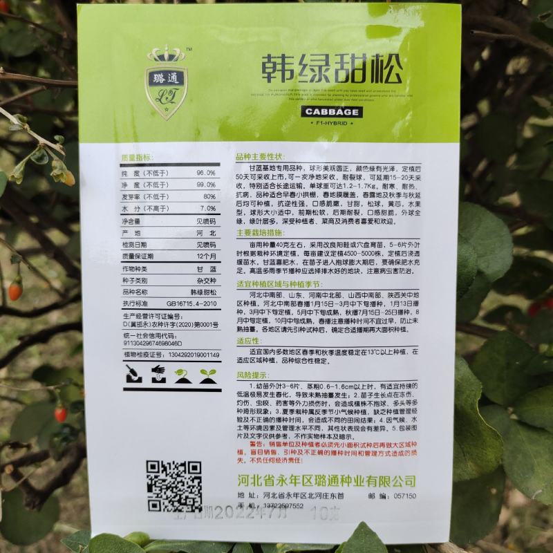 韩绿甜松水果甘蓝种子外球绿甘甜黄芯阳台蔬菜种前期松软