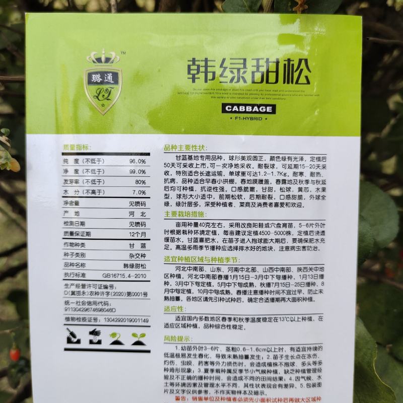 韩绿甜松水果甘蓝种子外球绿甘甜黄芯阳台蔬菜种前期松软